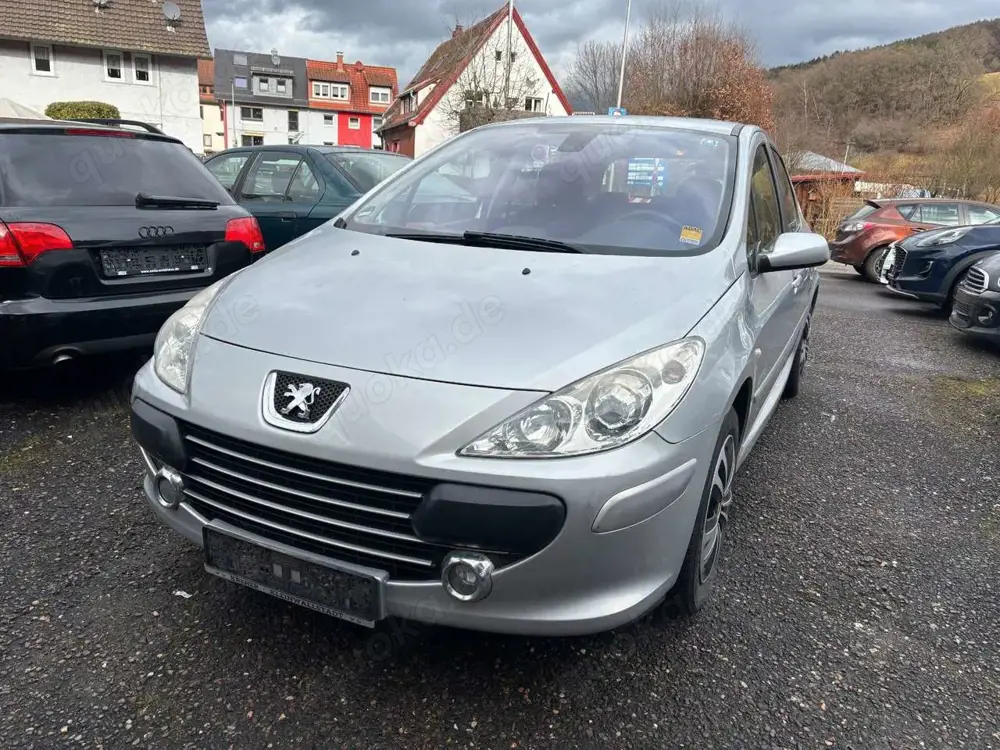Peugeot 307 Grand Filou Cool 110