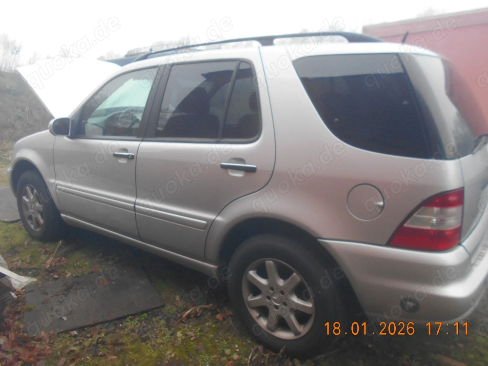 ML 500 mit Gasanlage in gutem Zustand - Marderschaden