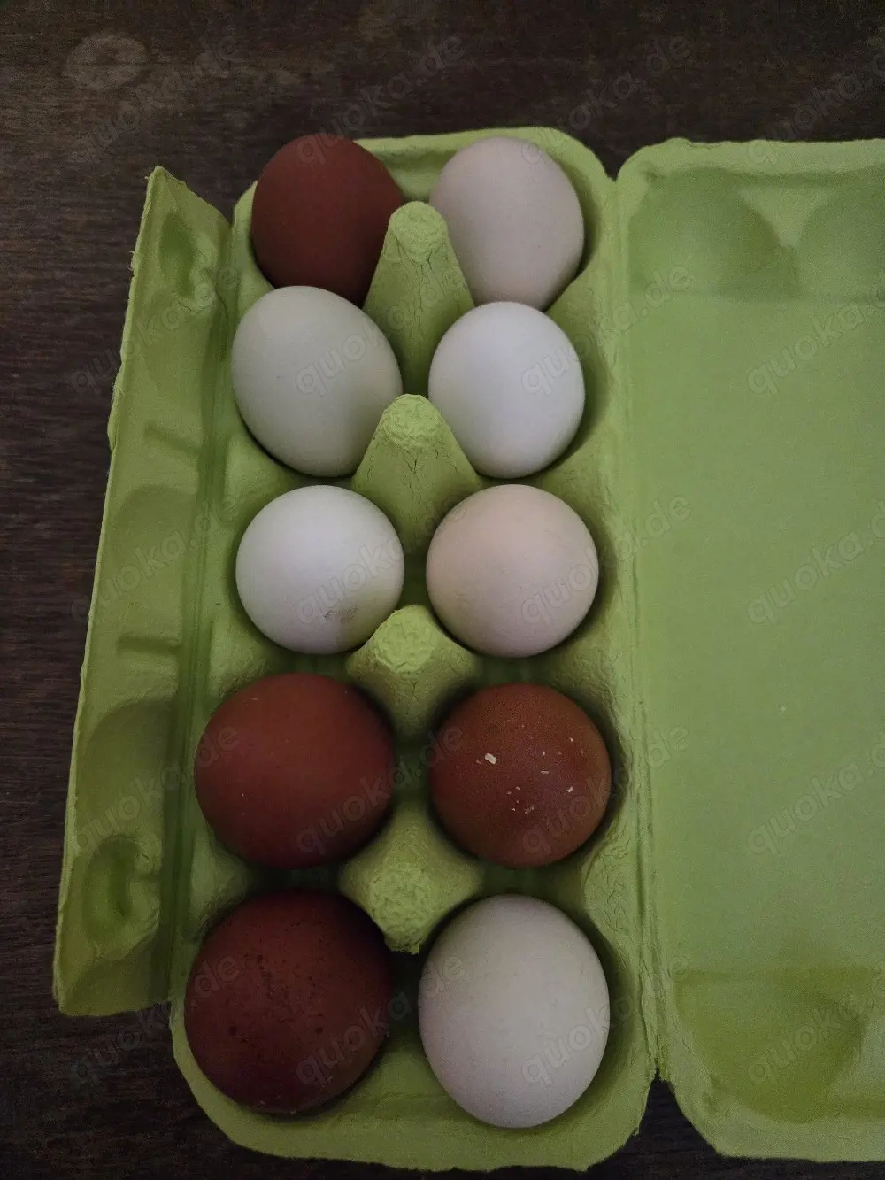 Bruteier meiner bunt gemischten Hühnergruppe