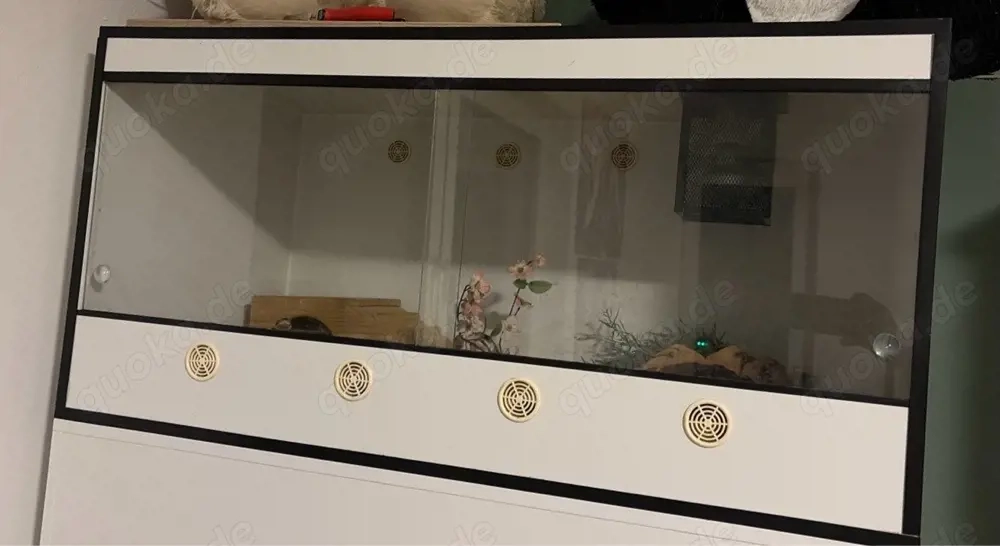 Terrarium Kunststoff