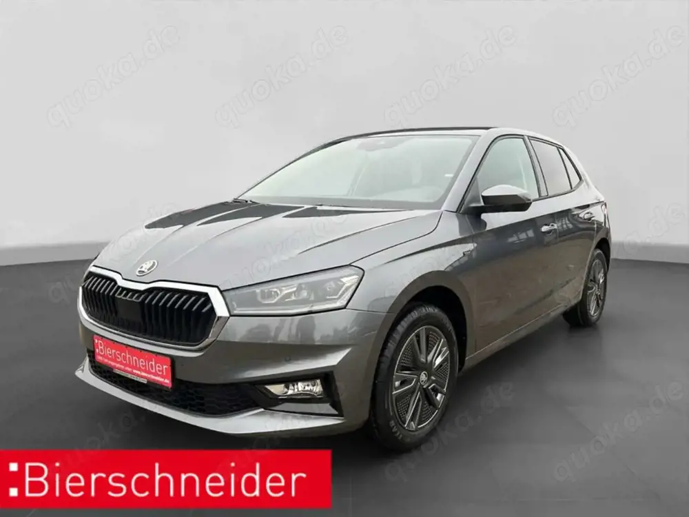 Skoda Fabia 1.5 TSI DSG Tour NAVI ACC WINTER KAMERA AUTO APPLE