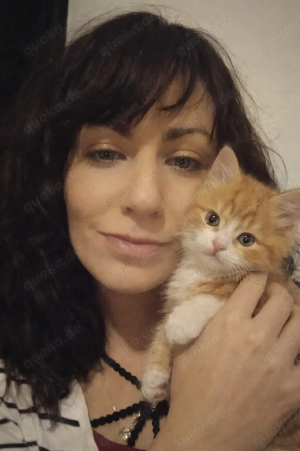 Biete erfahrene und liebevolle Katzenbetreuung & Check-In Besuche an