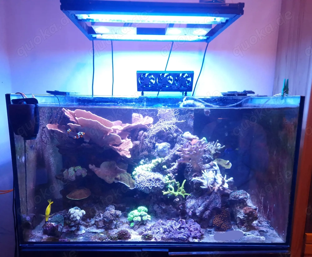 Aquarium zu verkaufen