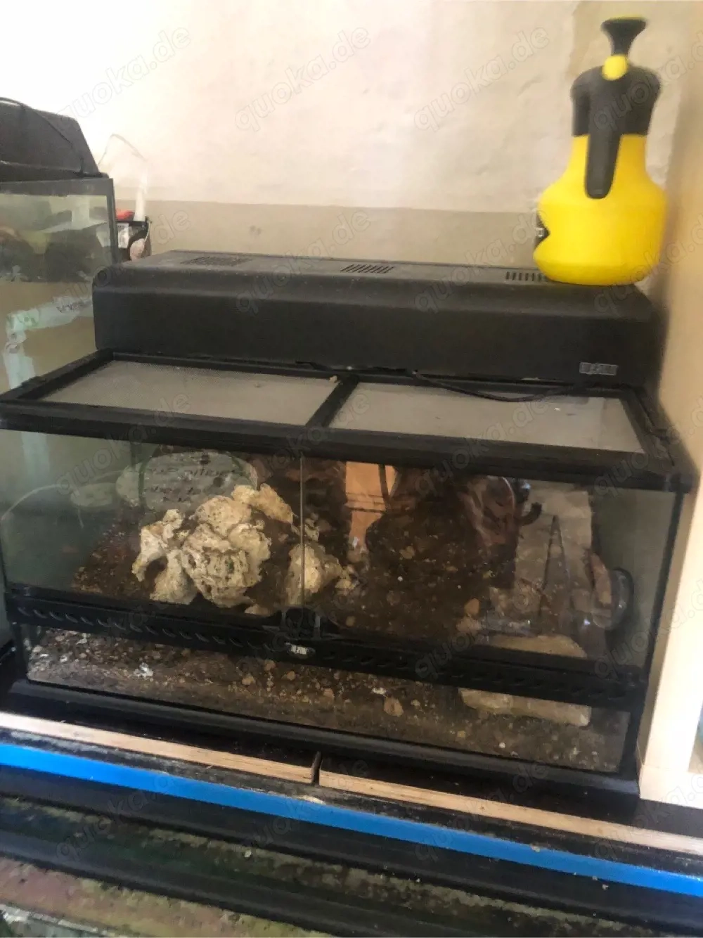 Terrarien.
