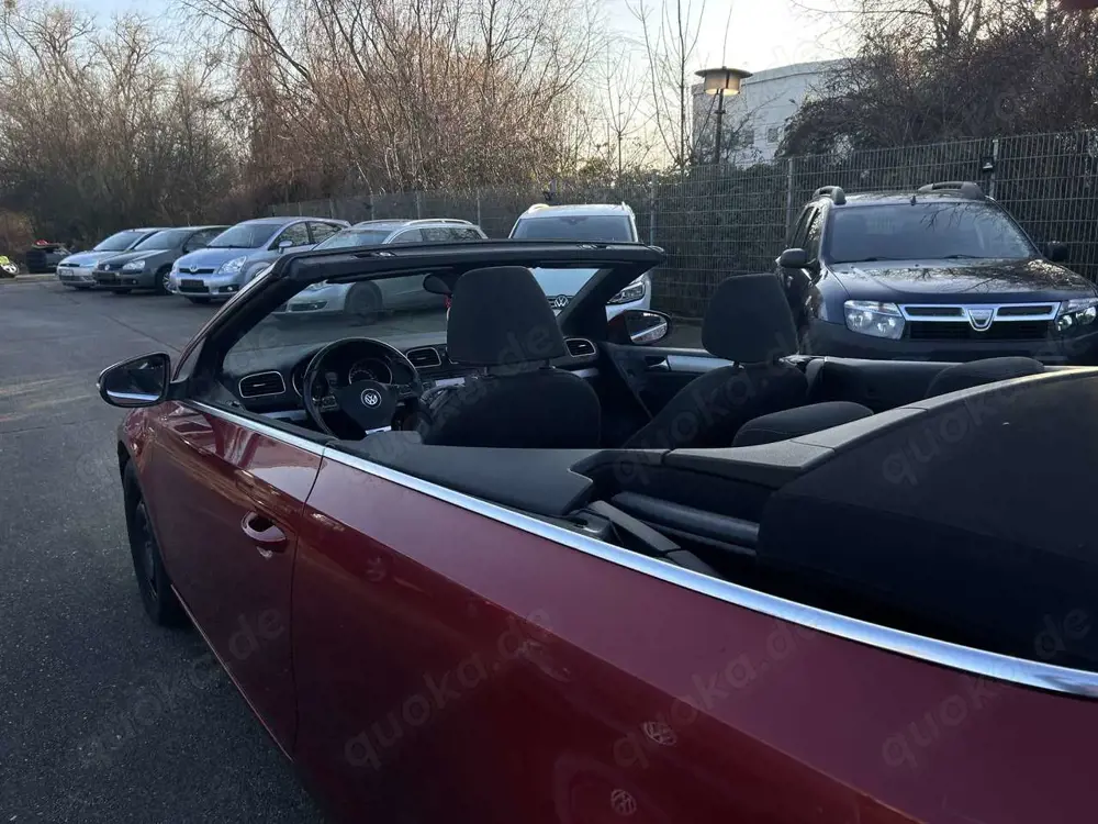 Volkswagen Golf Cabriolet Life Xenon PDC SHZ Navigation 8 fach Bereifung