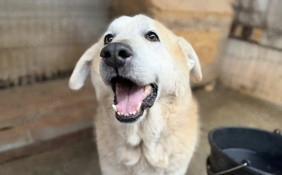 Wer zeigt Boomer, wie sich Liebe wirklich anfühlt?