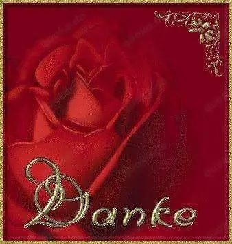 suche festen freund 