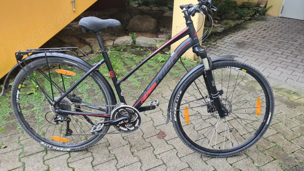 Damen Fahrrad