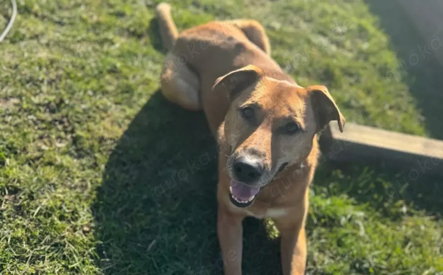 Die süße Finja möchte noch viel erleben