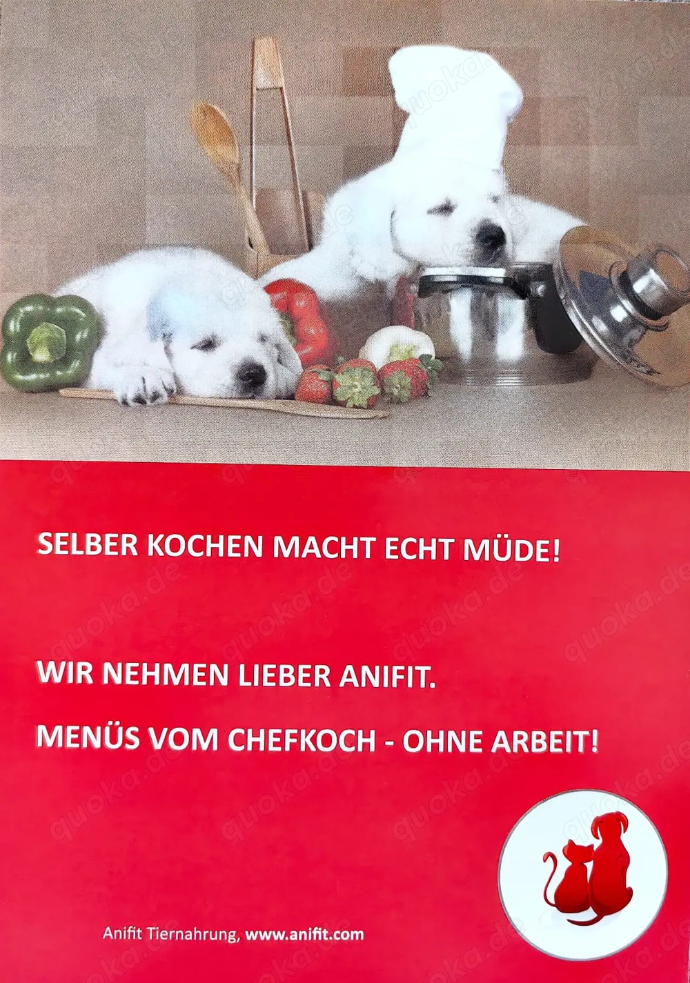 Anifit Futterprobe, natürliches & artgerechtes Hundefutter