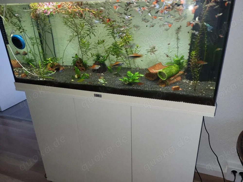 aquarium Juwel 180l 