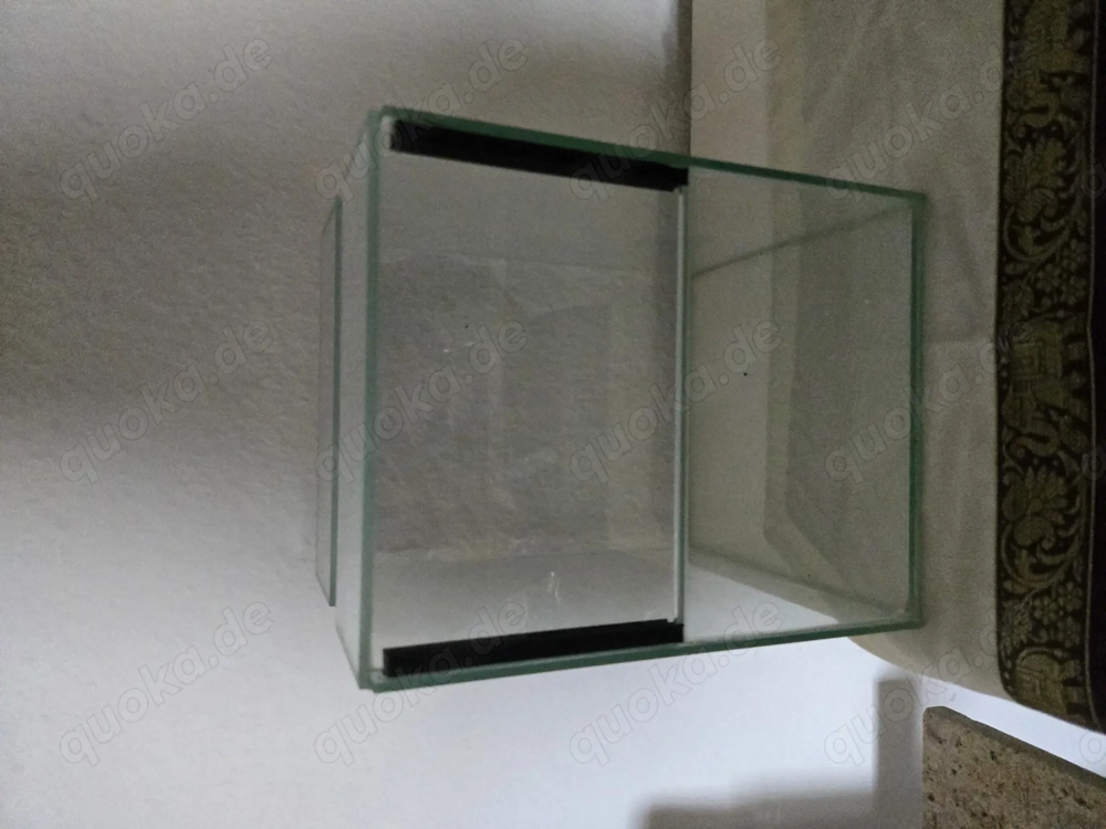 Glasterrarium klein mit Falltür