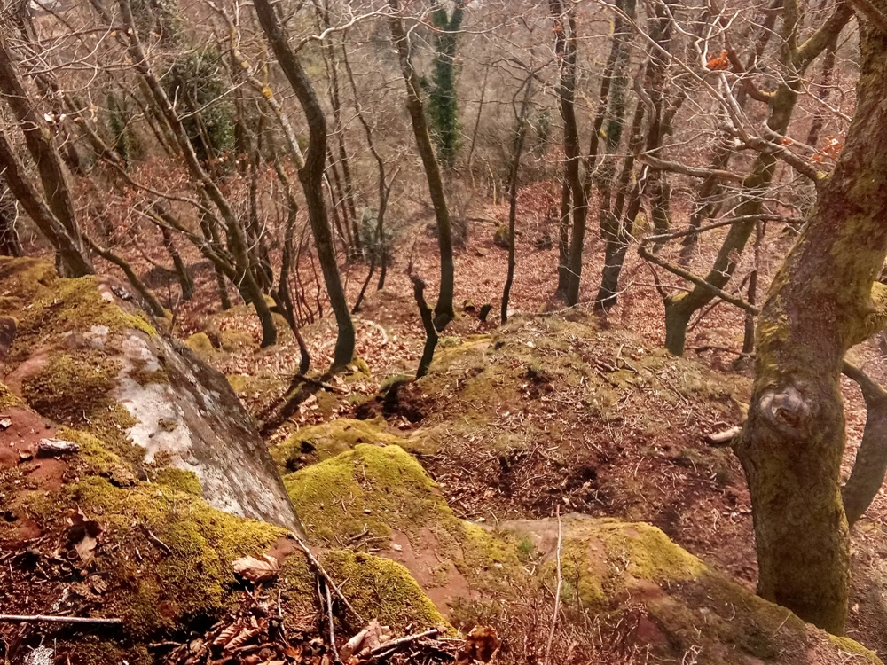 Ich liebe es Outdoor zu tun 