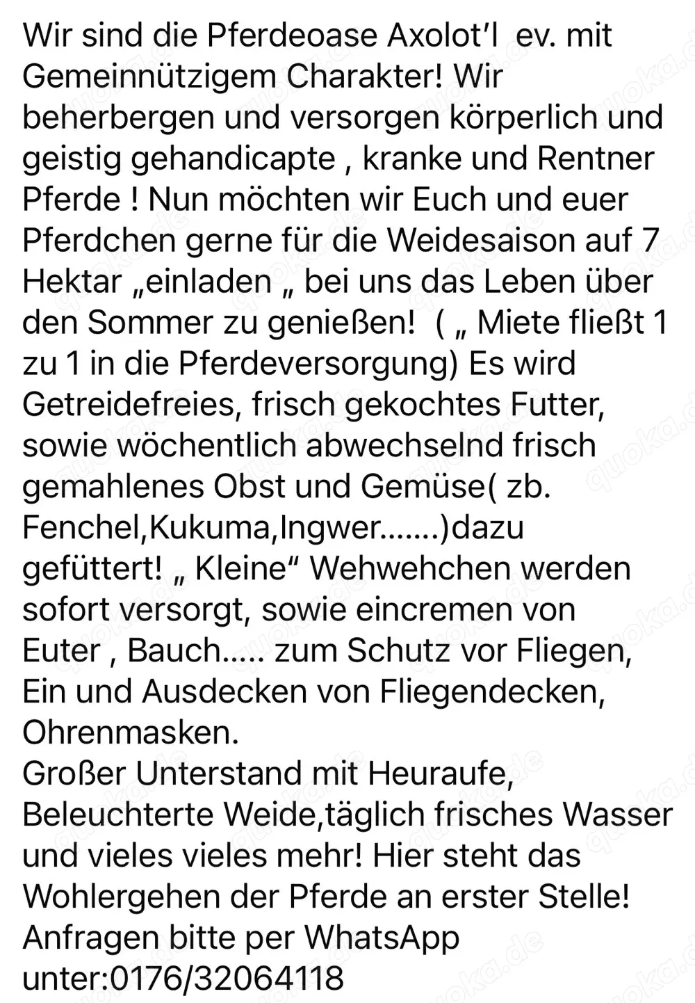 Sommerweideplaetze mit VOLLPENSION