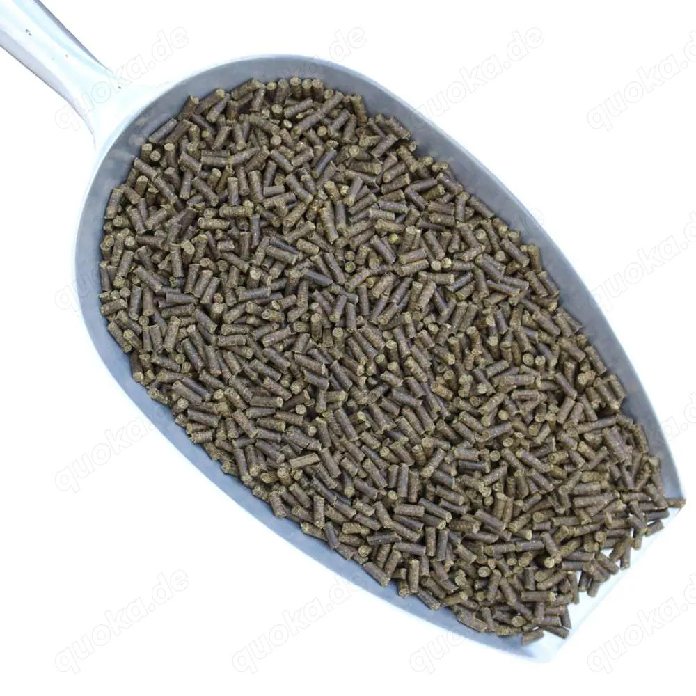 Oregano Sticks für Garnelen