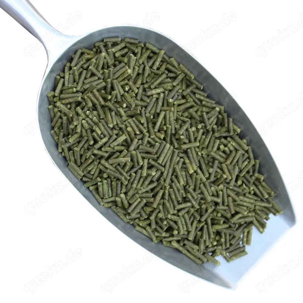 Petersilie Sticks für Garnelen