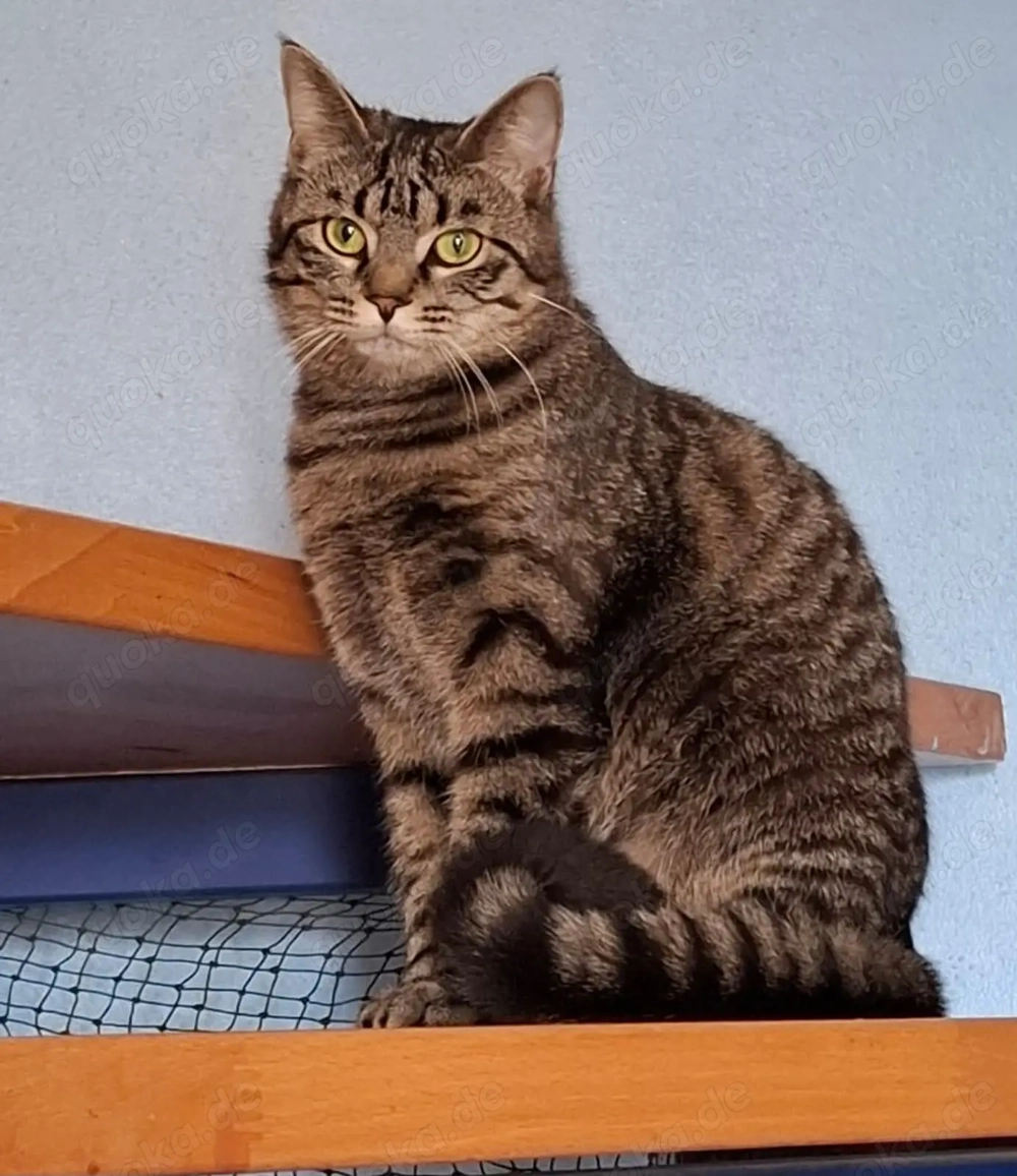 Einstein mein Name, na interessiert? # Tierschutz 