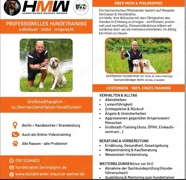 Professionelles Hundetraining   Persönlich oder auch via Videoanalyse