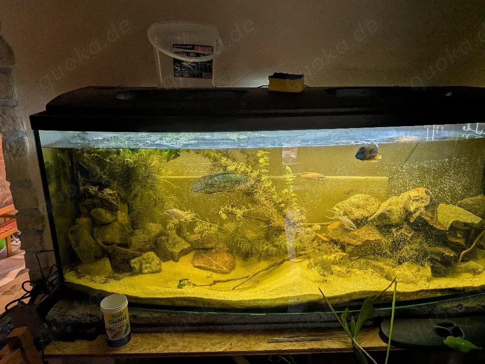 Aquarium 150cm