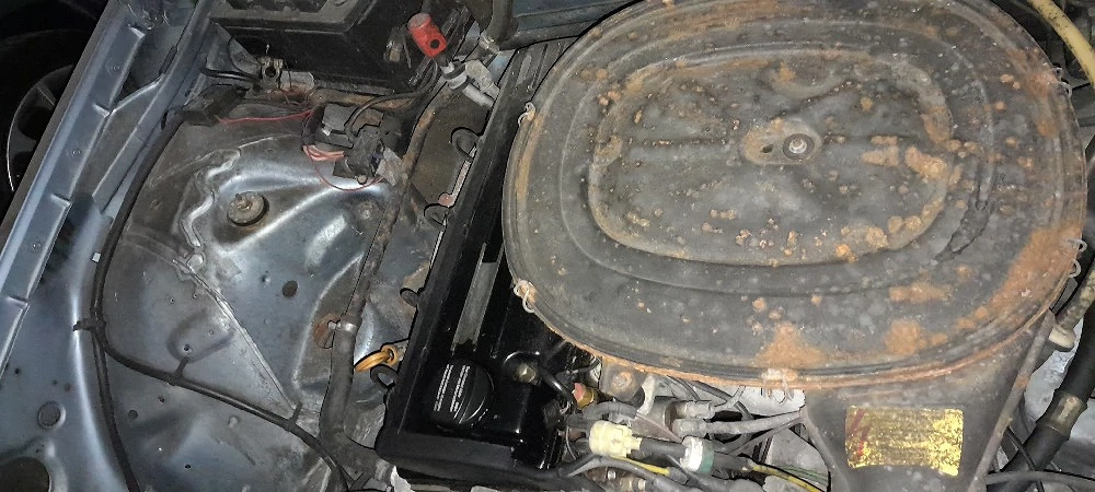 W123  - zu verkaufen    VB 