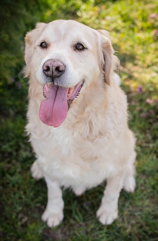 *SAM* ist menschenbezogen und er lernt sehr gerne