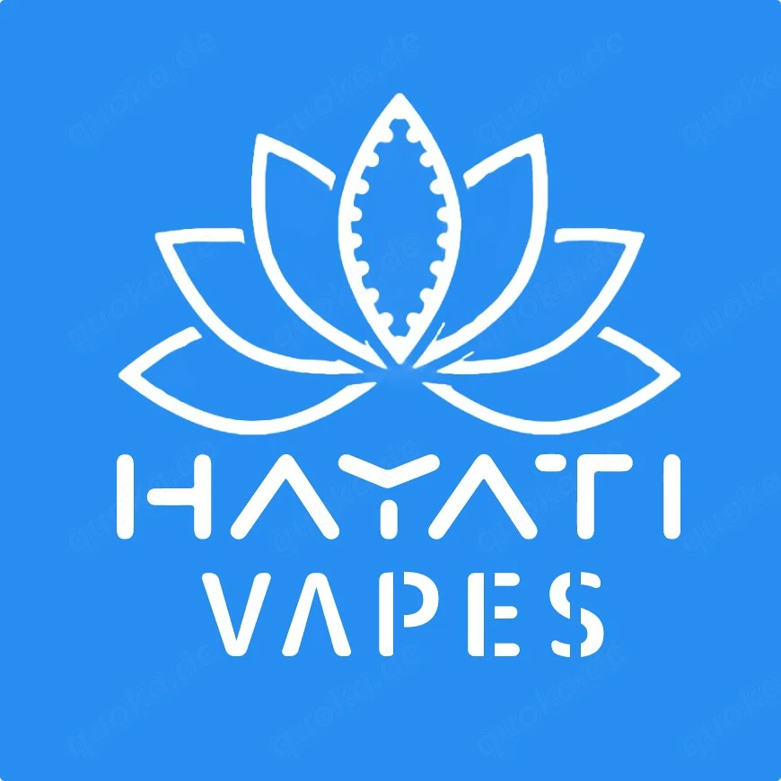 HayatiVapes Shop für moderne Vapes in Berlin