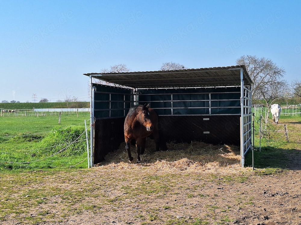 Offenstall Offenstallplatz 