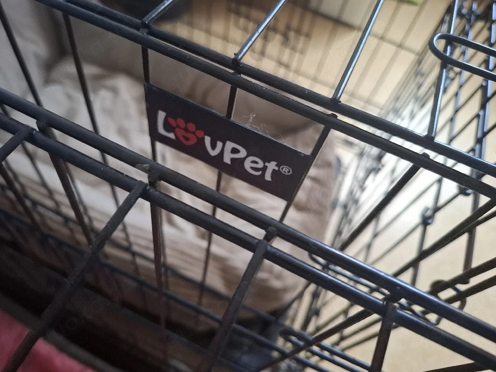 Hunde Gitterboxen 2 Stück 