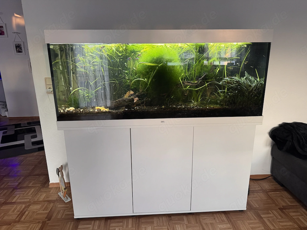 gebrauchtes Juwel Rio 450 Aquarium 