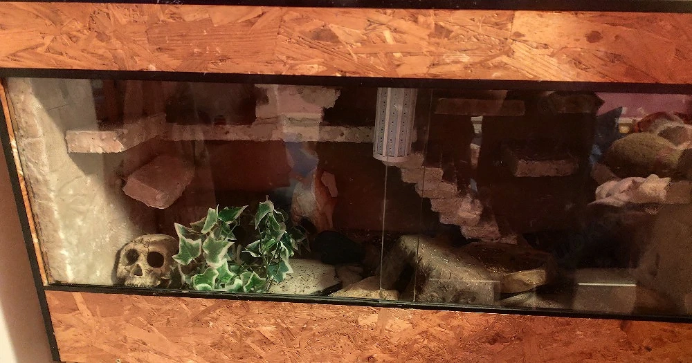 Terrarium 