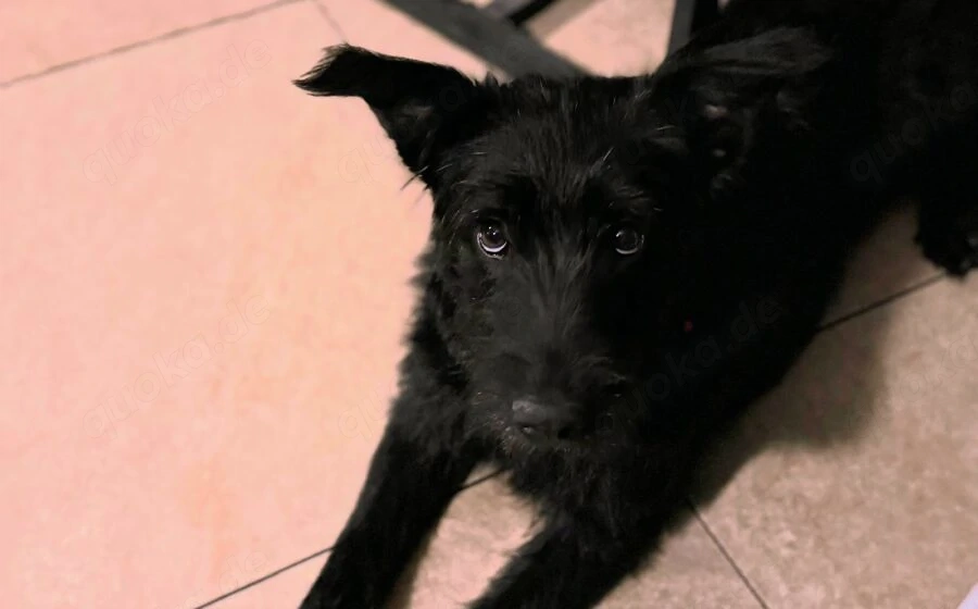 Hat sich Pineta in dein Herz geschlichen