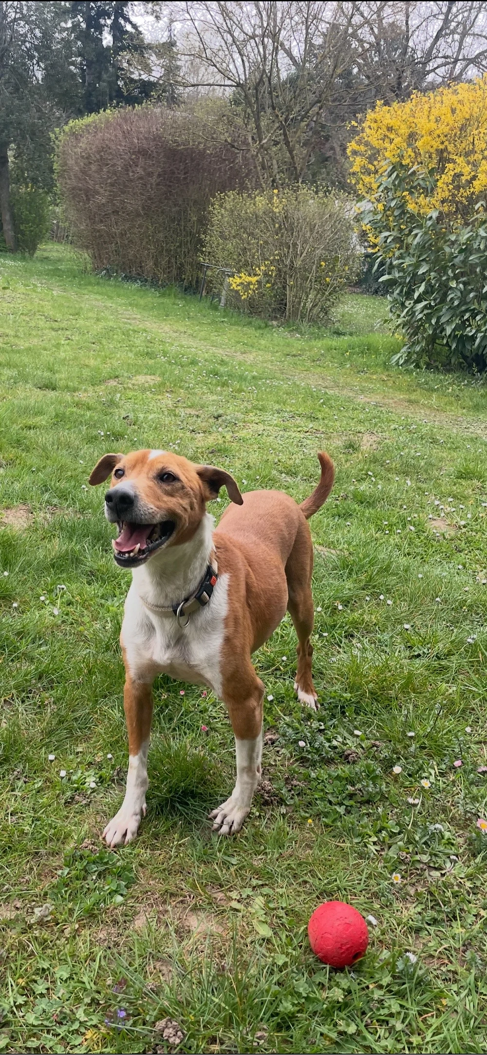 Dein bester Freund wartet auf Dich