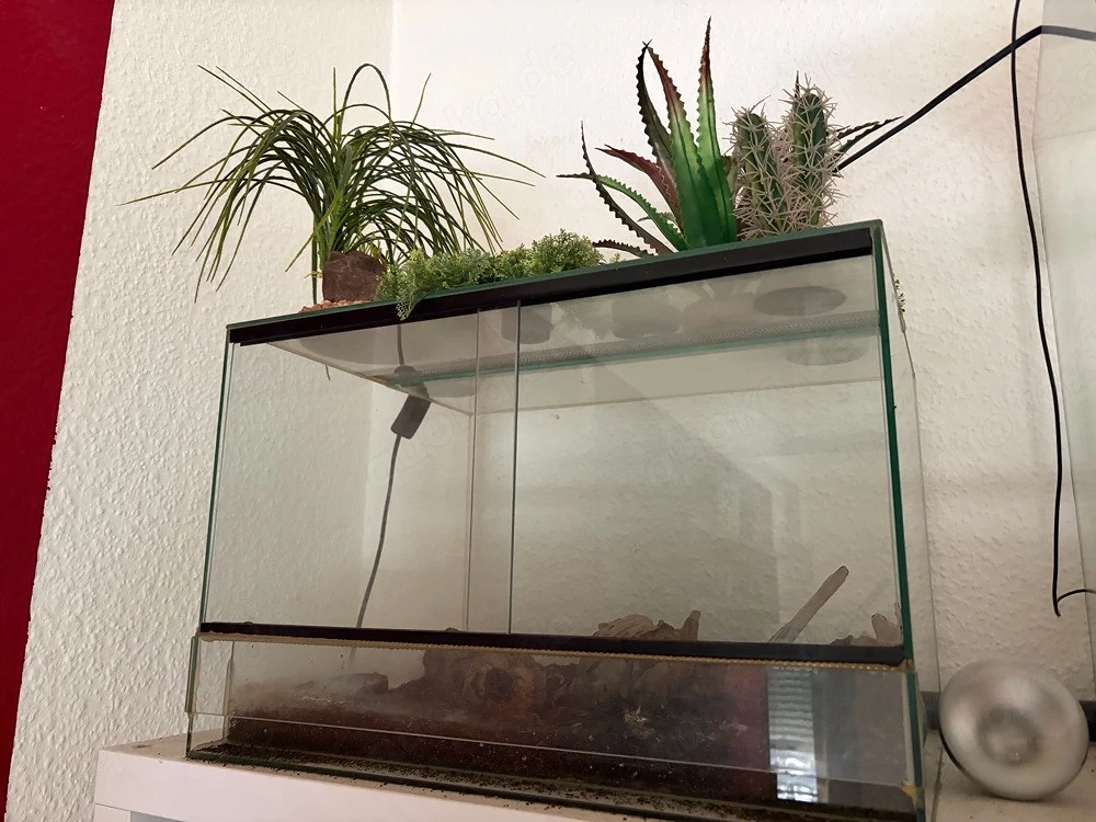 Terrarium 45x30x35 cm zu verkaufen
