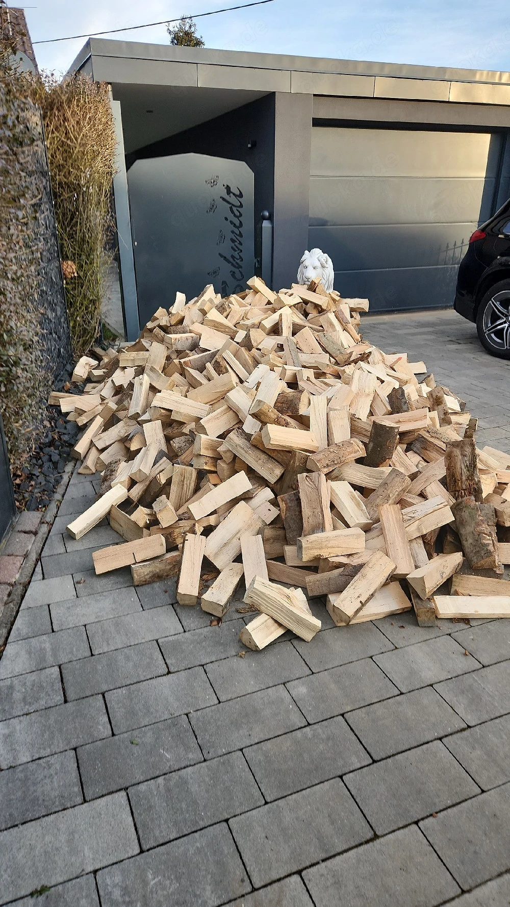 Esche Brennholz