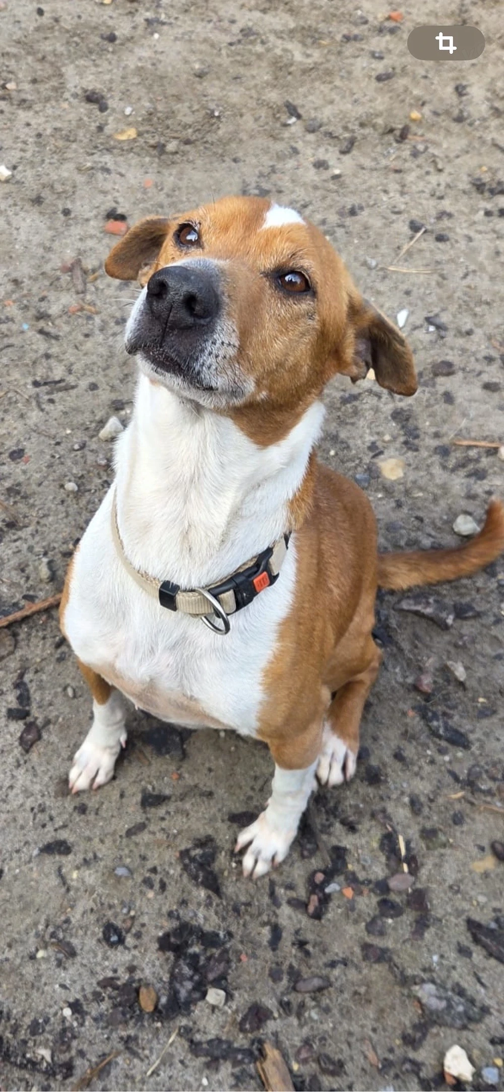 Dein bester Freund wartet auf Dich