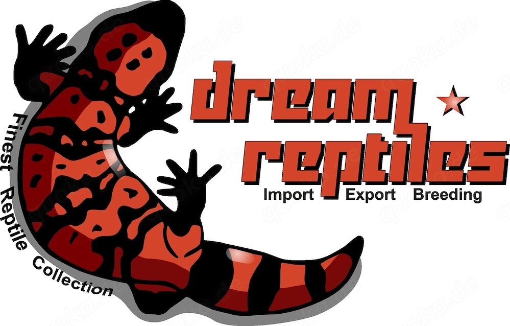 Dream Reptiles - Dein Terraristik Fachgeschäft seit 1996