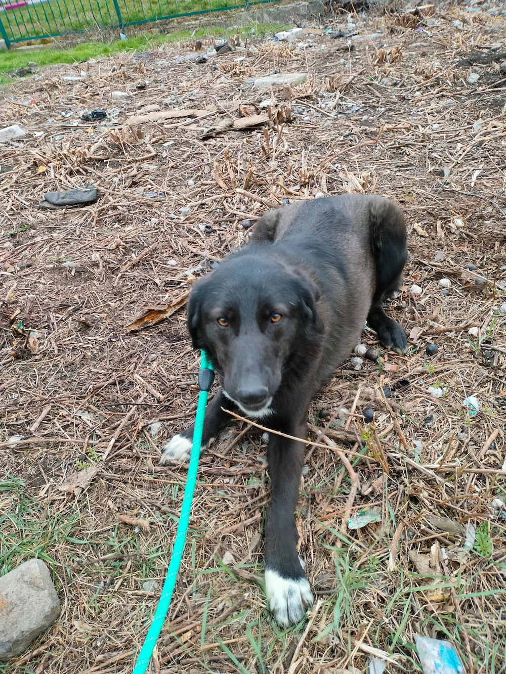 Möchtest du meine Familie sein?