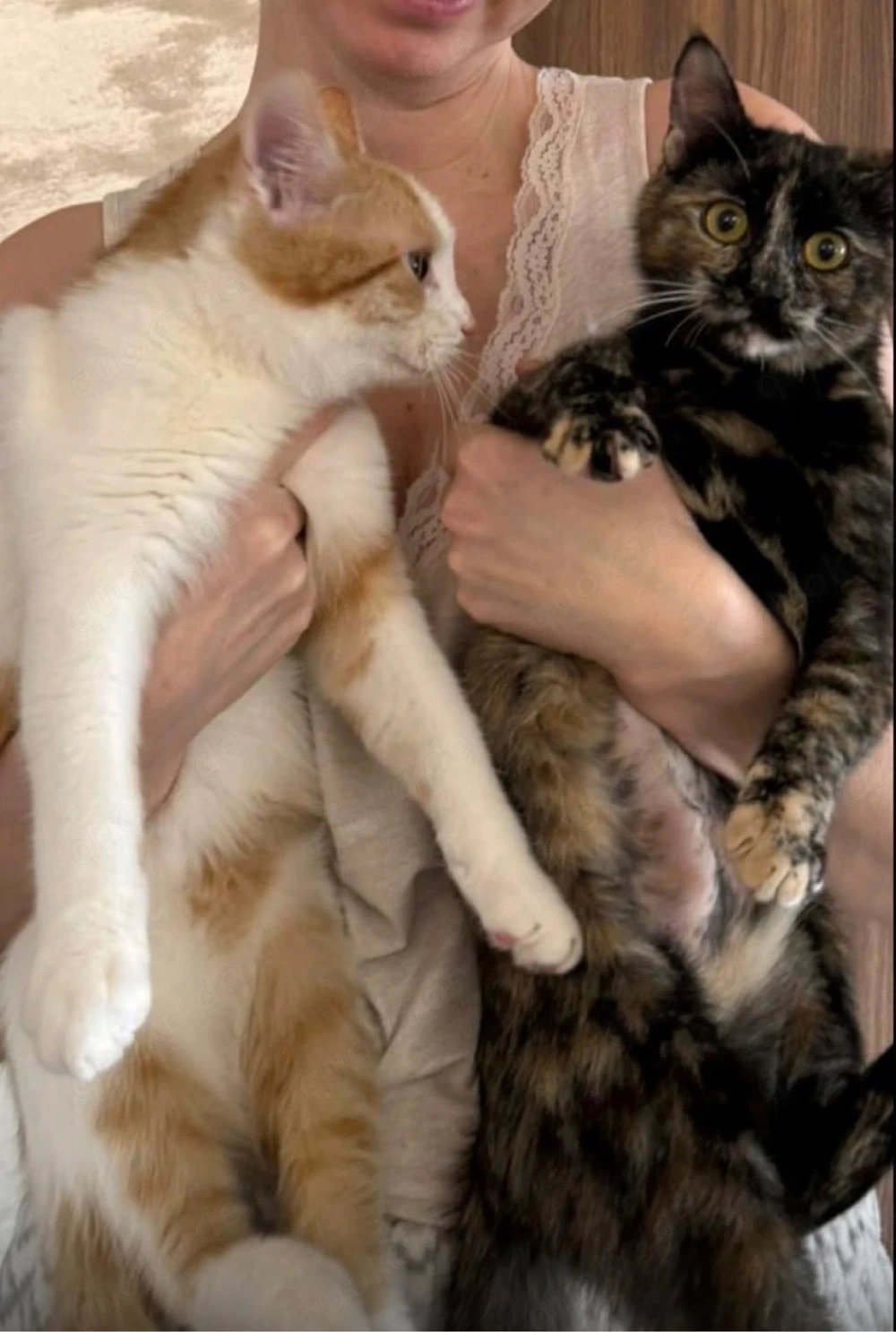 Alfred und Gigi möchten weiterhin zusammen leben