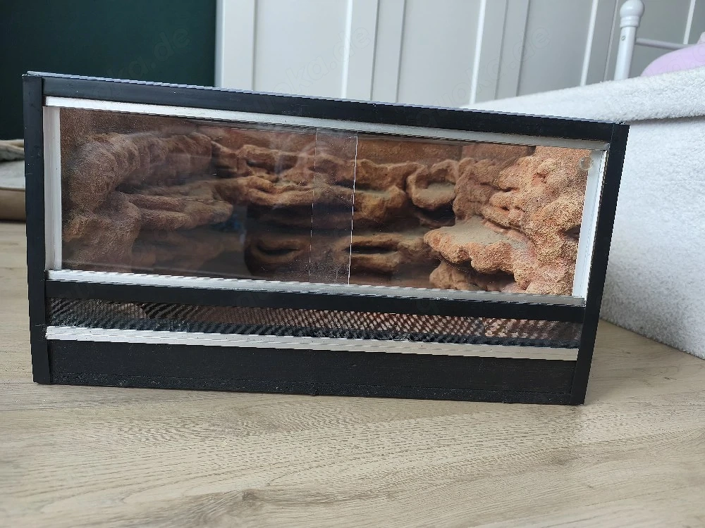 Terrarium mit Rückwand 