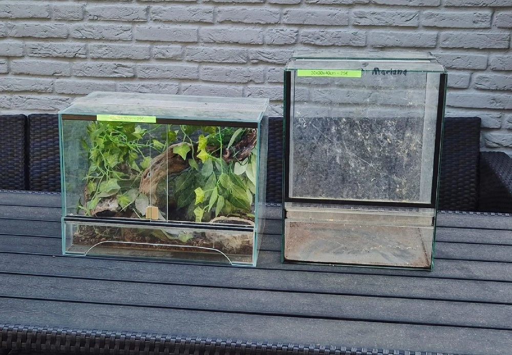 gebrauchte Terrarien für Vogelspinnen 
