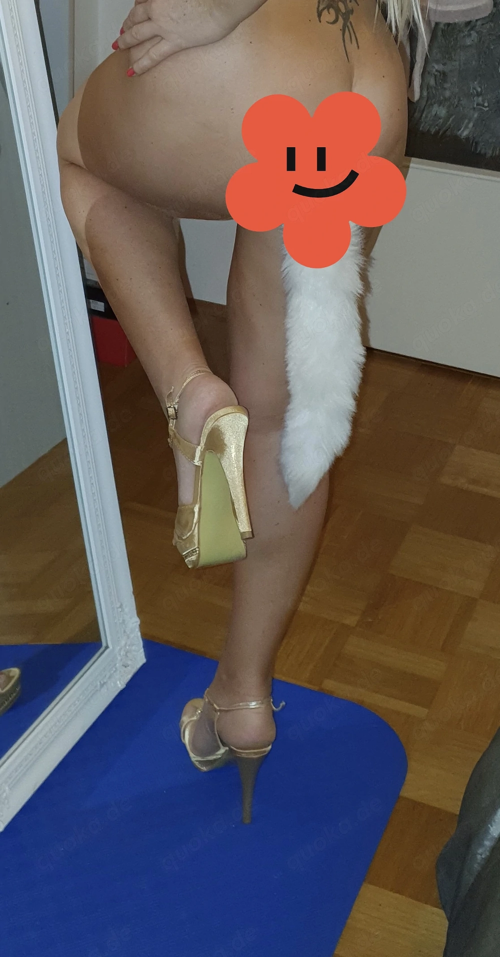 Fuchs suche Hase 