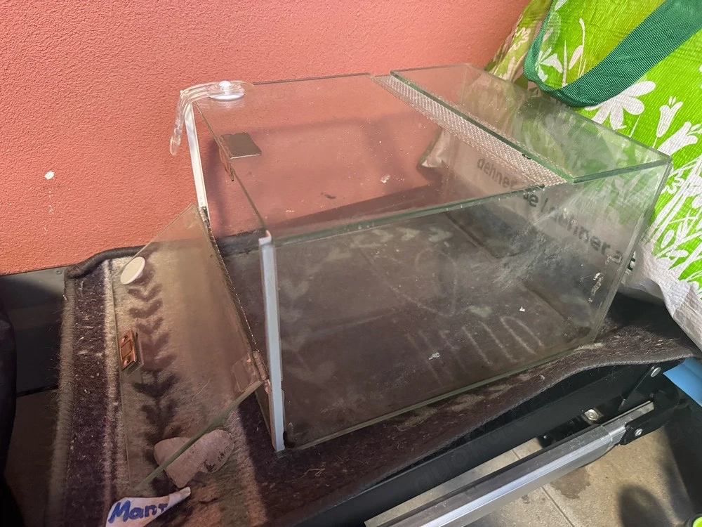 terrarium spinnen doppel belüftung