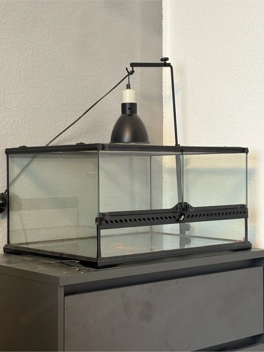 Terrarium + Zubehör