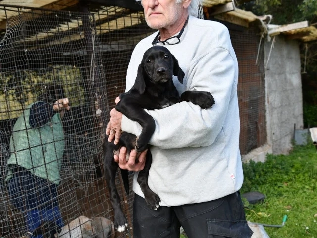 Black sucht sein Zuhause