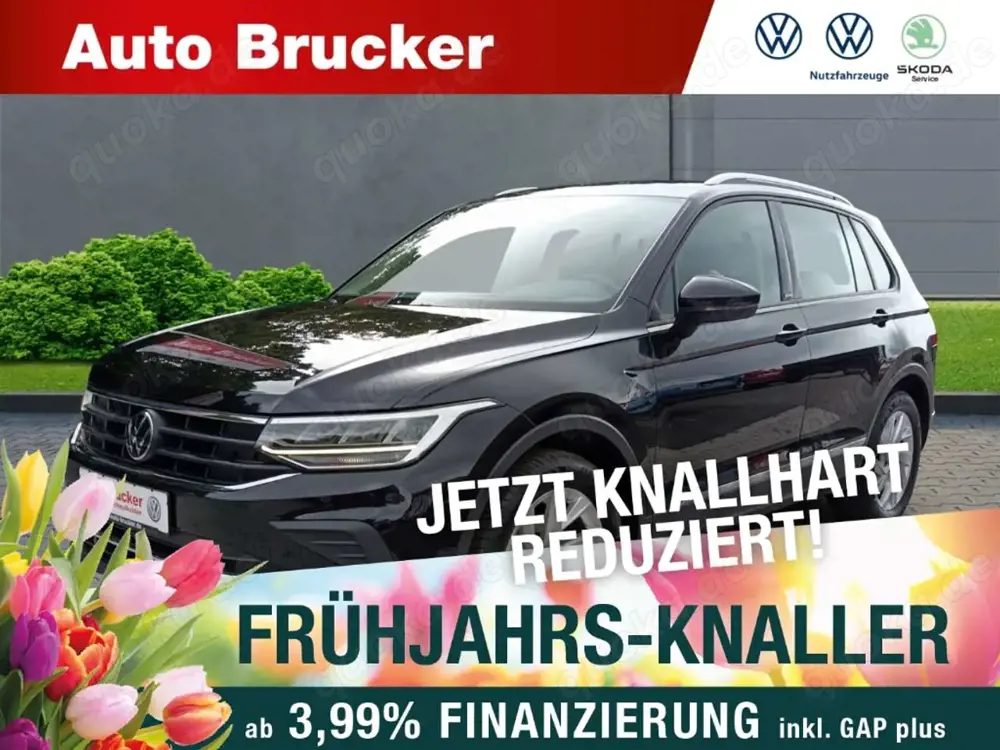 Volkswagen Tiguan Active 2.0 TDI BMT LED, Anhängerkupplung