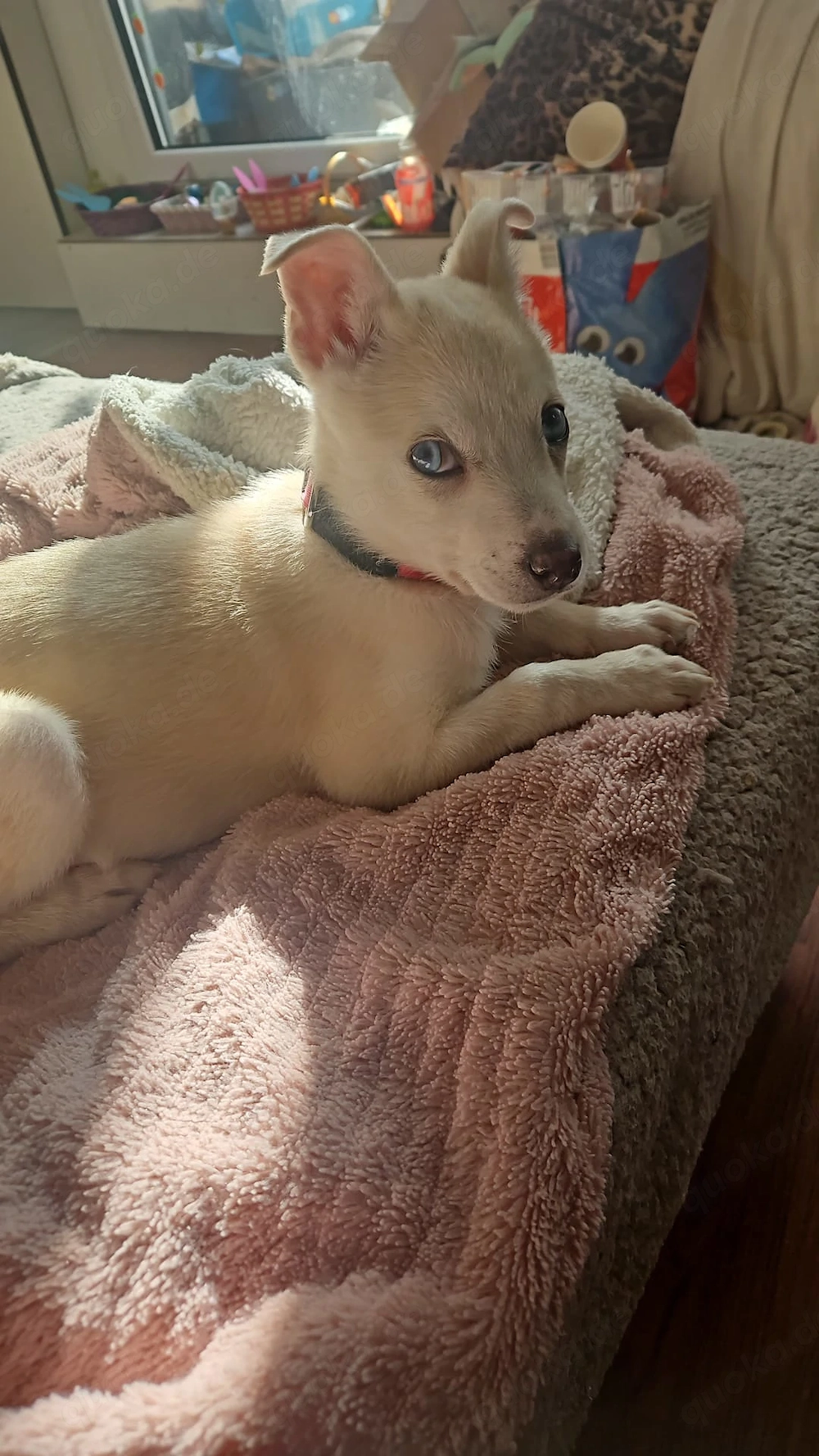 Ist eine sie 4 monate