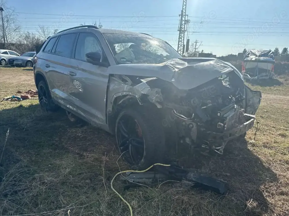 Skoda Kodiaq 2.0TDI RS 4x4 Unfall