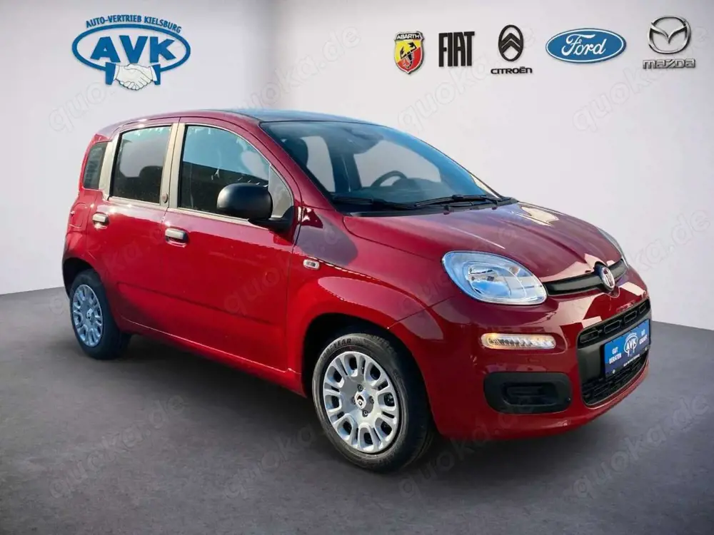 Fiat Panda Pandina Icon MY26, Klimaanlage, Tempomat, PDC