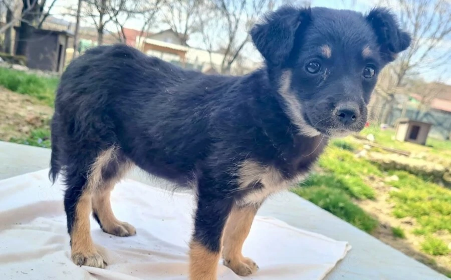 Kleine Lorea möchte ihr Köfferchen packen