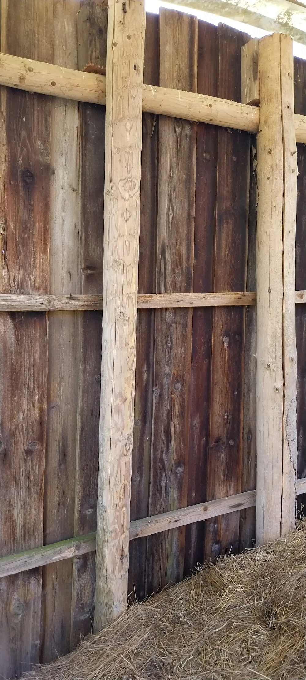 Holz kostenlos!